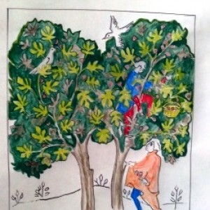 Cueillette des figues 2 